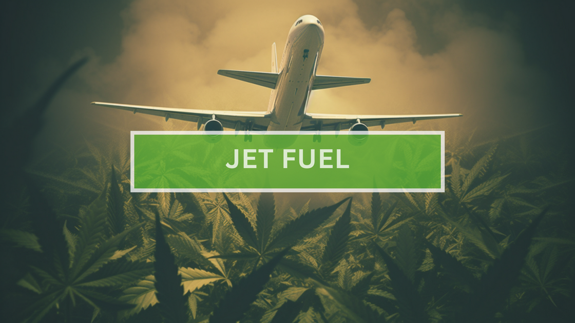 Jet Fuel StrainCannabis Guide STIIIZY