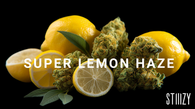 Super Lemon Haze: Cannabis  Strain Guide