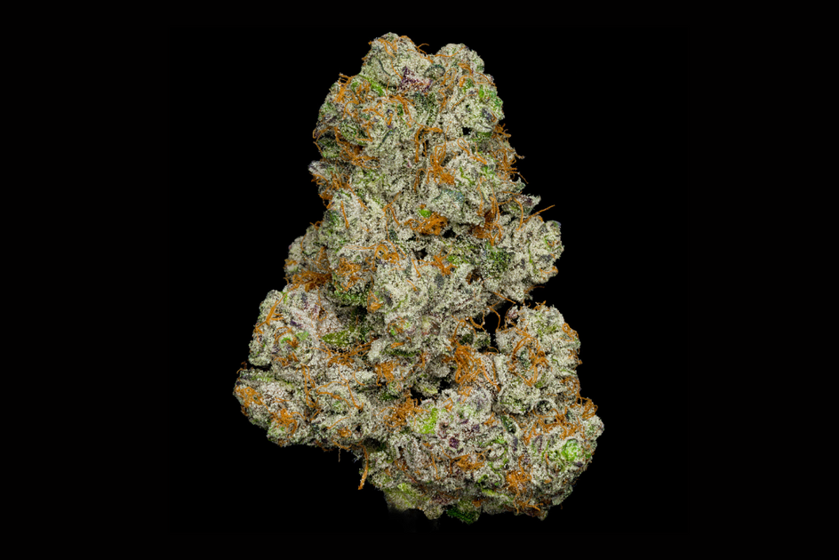 Girl Scout Cookies Weed Strain: Complete Guide | STIIIZY