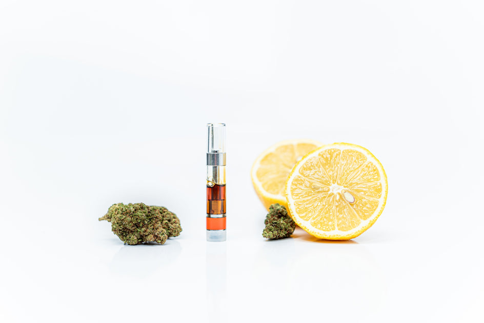 Vaping Cannabis-derived vs. Botanical Terpenes | STIIIZY Vaping Cannabis-derived vs. Botanical Terpenes | STIIIZY
