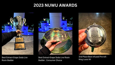 STIIIZY's Triumph at the 2023 Nuwu Cannabis Awards