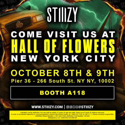STIIIZY at Revelry Festival 2025 – Pier 36 NYC
