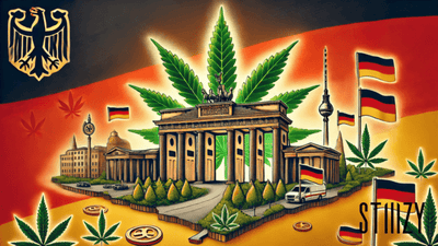 Cannabis Legalization in Germany: Exploring the History & New Laws
