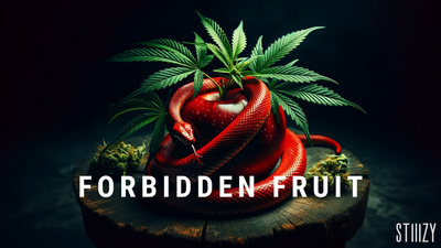 Forbidden Fruit: Cannabis Strain Guide