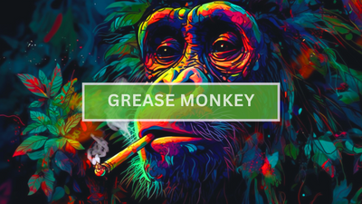 Grease Monkey Strain: A Cannabis Deep Dive