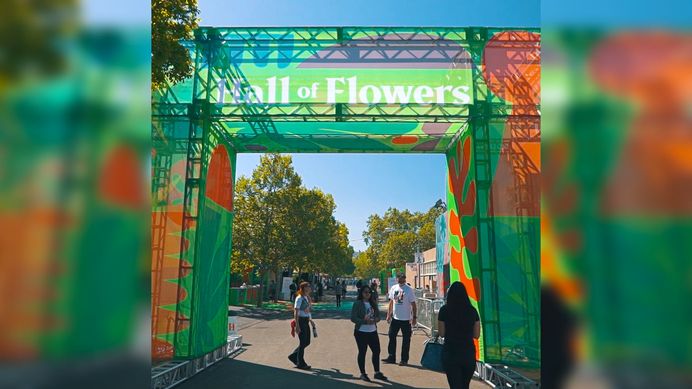 STIIIZY x HALL OF FLOWERS
