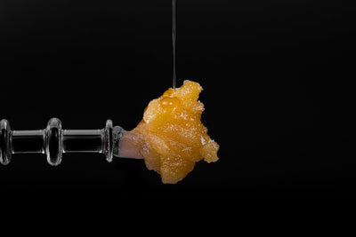 LIVE RESIN VS LIVE ROSIN: WHAT IS THE DIFFERENCE?