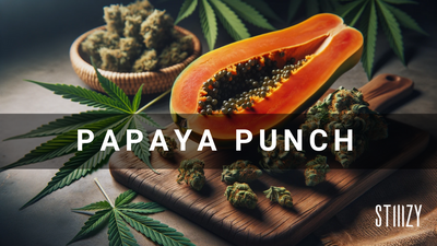 Papaya Punch Strain: Cannabis Guide