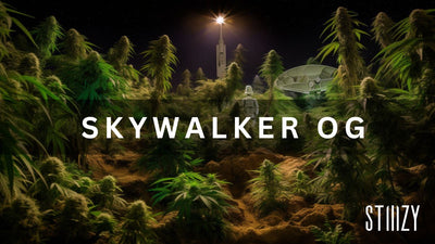 Skywalker OG  : Cannabis Strain Guide