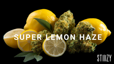 Super Lemon Haze: Cannabis Strain Guide