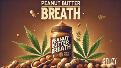 Peanut Butter Breath Strain Guide