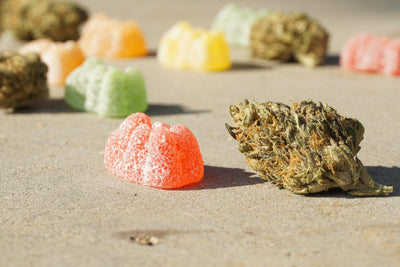 HOW TO CHOOSE CANNABIS EDIBLES THAT ARE RIGHT FOR YOU