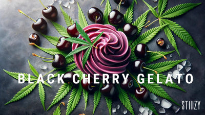 Exploring the Rich Flavor Profile of the Black Cherry Gelato Strain