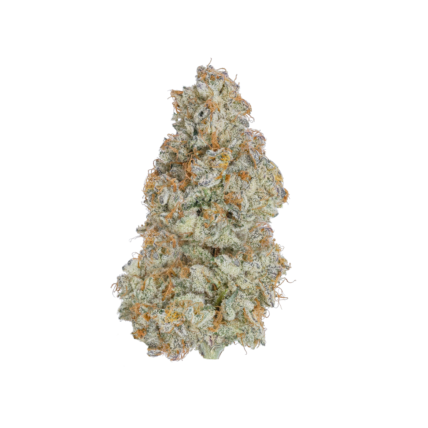 A frosty white and green nug of cannabis flower from the Cereal Milk strain sits against a black background.