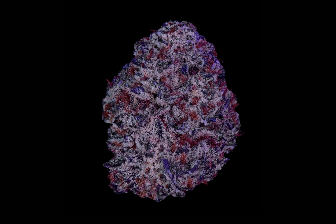 Grape Ape Strain: Flavor Profile & Effects | STIIIZY Grape Ape Strain: Flavor Profile & Effects | STIIIZY