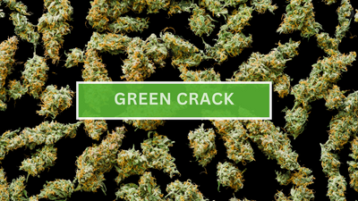 Green Crack Strain: Cannabis Guide