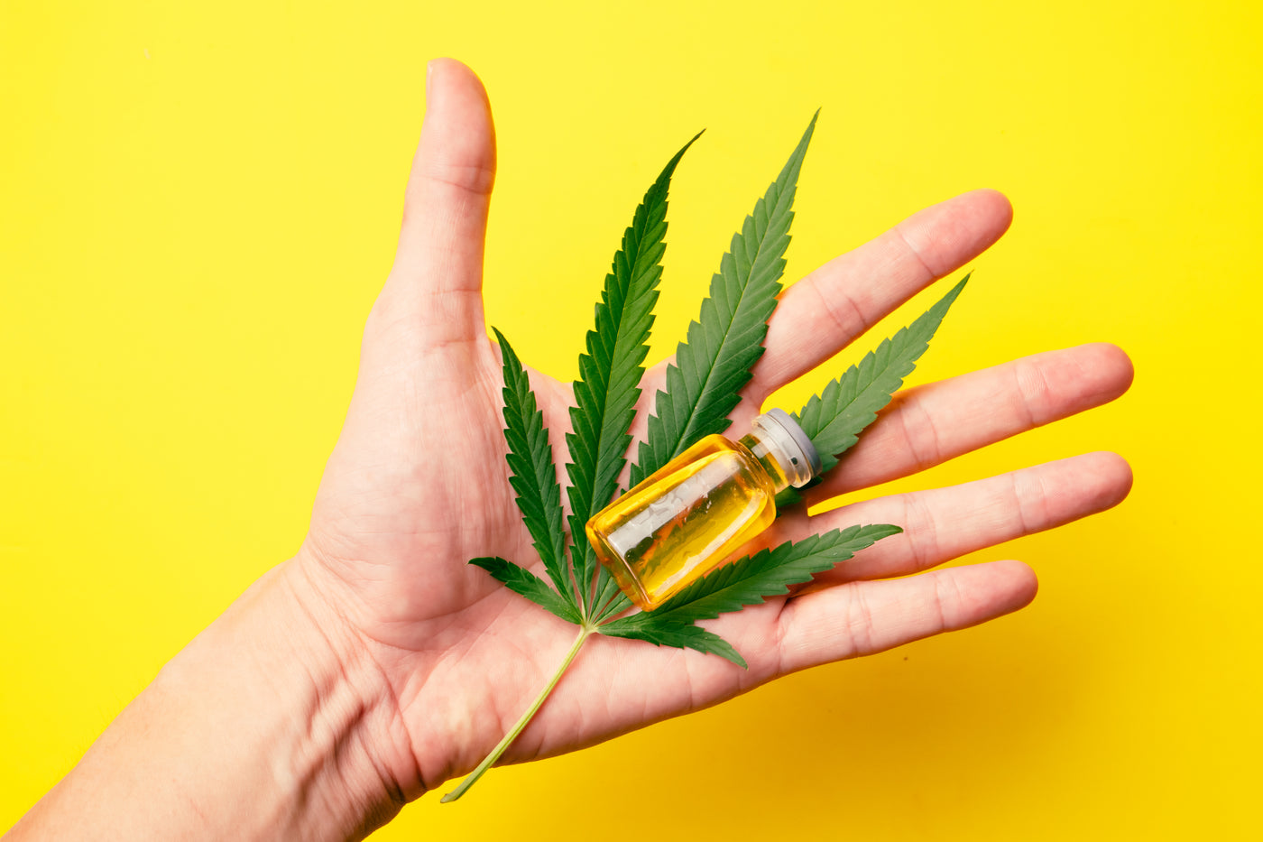 A hand holds a cannabis leaf and an oil with cannabis-derived terpenes.