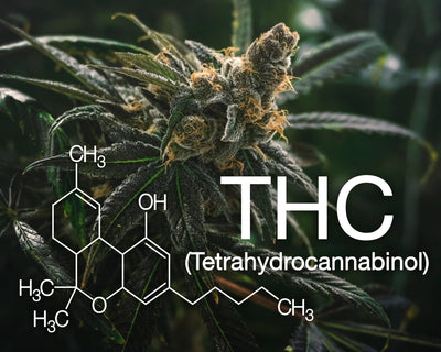 Exploring the Spectrum: Understanding the Different Cannabis Experiences