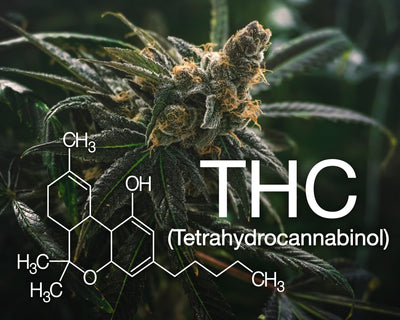 Exploring the Spectrum: The Different Kinds of High