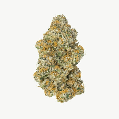 LAVA CAKE STRAIN: A DECADENT DESSERT CULTIVAR
