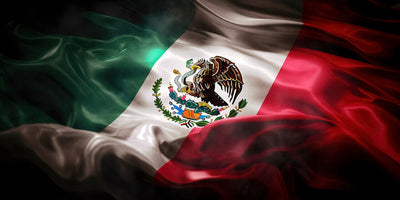 Cinco De Mota: A Fiesta to Remember