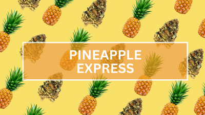 Pineapple Express Strain: Unraveling the Mysteries