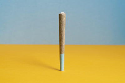 WHAT TO KNOW ABOUT CANNABIS PRE-ROLLS