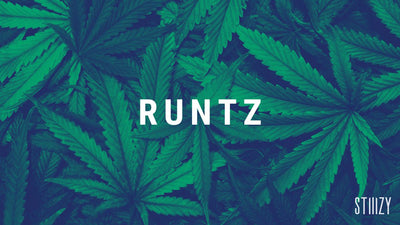 Runtz Strain Guide: The Sweet High
