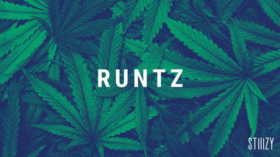 Runtz Strain Guide