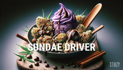 Sundae Driver Cannabis Strain Guide: A Delicious Delicacy